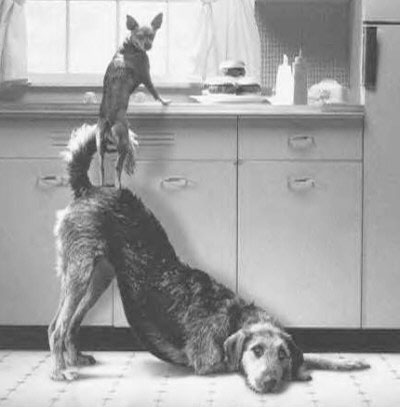 Teamwork